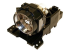 InFocus - Projektorlampa - 