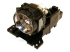 InFocus - Projektorlampa - 